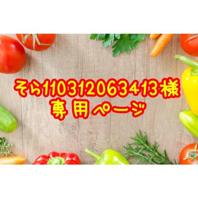 ★そら110312063413専用ページ 食品/飲料/酒の食品(フルーツ)の商品写真