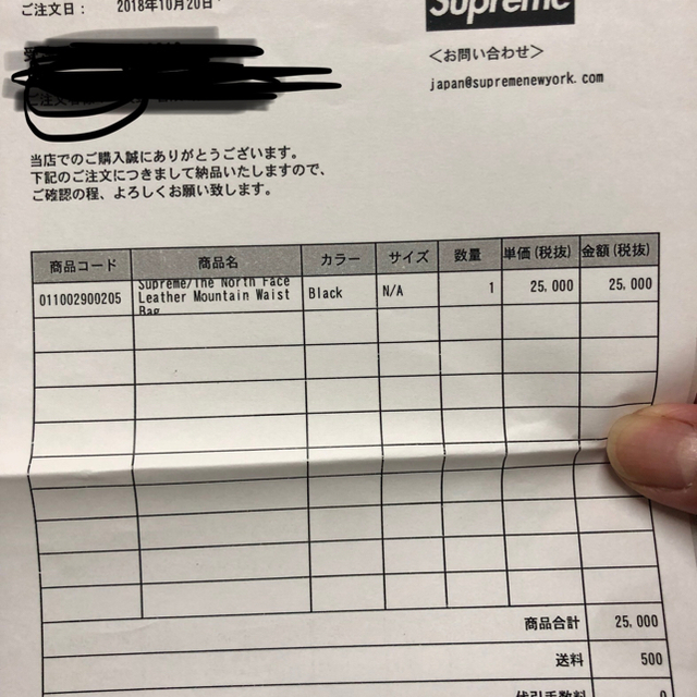 SupremeThe North FaceLeaWaist Bag