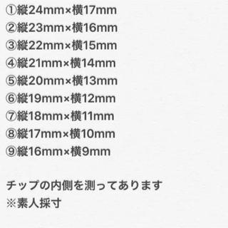 ネイルチップ 黒 ボルドー べっ甲 コスメ/美容のネイル(つけ爪/ネイルチップ)の商品写真