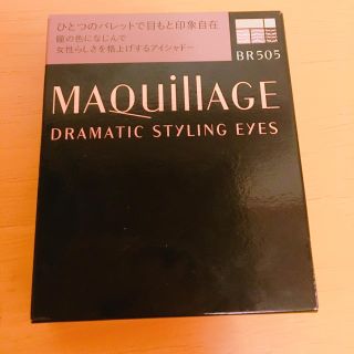 マキアージュ(MAQuillAGE)のマキュアージュ ドラマティックスタイリングアイズ BR505(アイシャドウ)