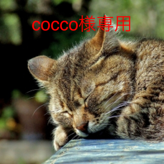 cocco様専用ページ(壁掛けミラー)