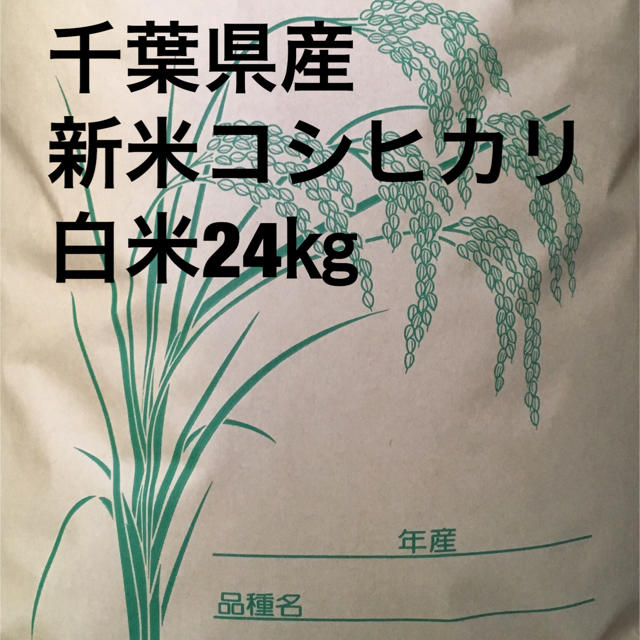 新米コシヒカリ白米24キロ米/穀物