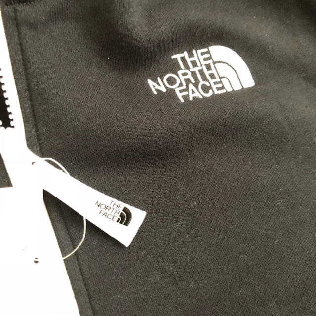 THE NORTH FACE(ザノースフェイス)の【新品☆ブラック】THE NORTH FACE リアビュー パーカー メンズ M メンズのトップス(パーカー)の商品写真
