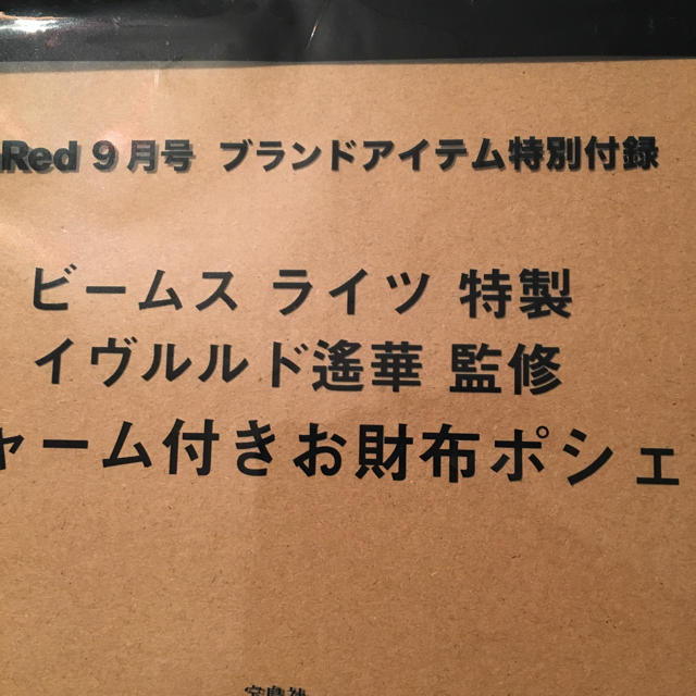 BEAMS(ビームス)のビームスライツ特製 イヴルルド遥華監修　馬蹄チャーム付きお財布ポシェット レディースのバッグ(ショルダーバッグ)の商品写真