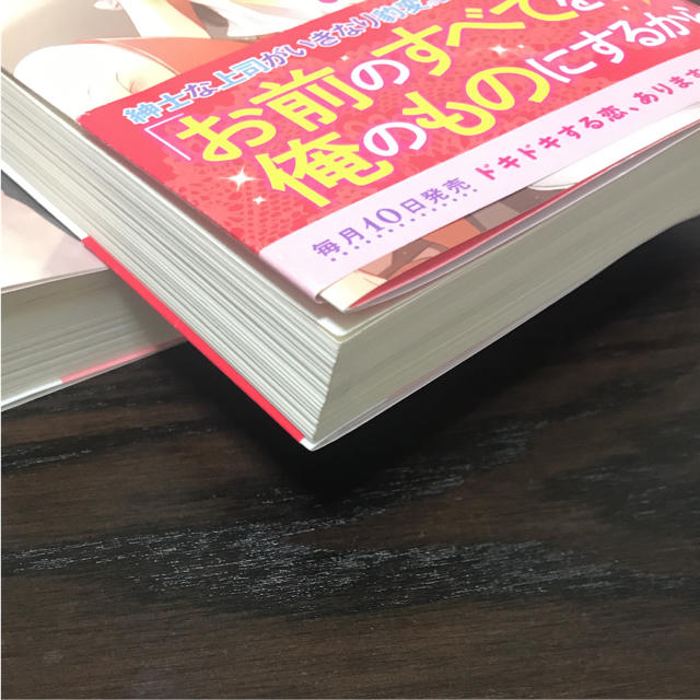 ベリーズ文庫2冊セット エンタメ/ホビーの本(文学/小説)の商品写真