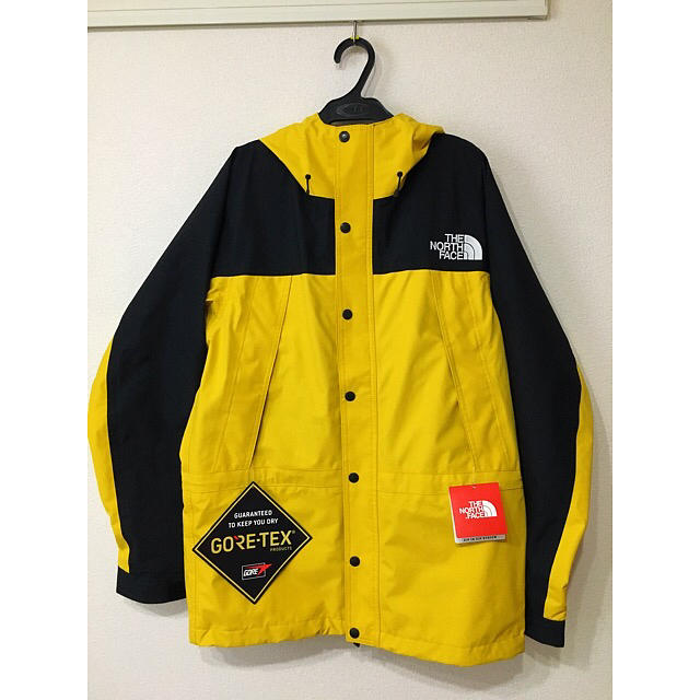 TNF Mountain Light Jacket