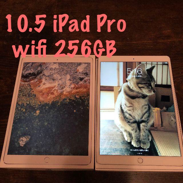 ⑮ 10.5 iPad Pro 第2世代 wifi 256gb