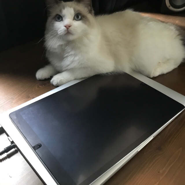 PC/タブレットiPadPro 12.9 WiFi 128GB & Apple pencil