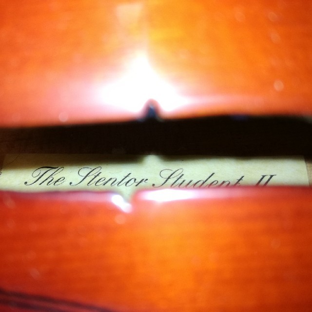 ステンター　入門用4/4バイオリンセット 楽器の弦楽器(ヴァイオリン)の商品写真