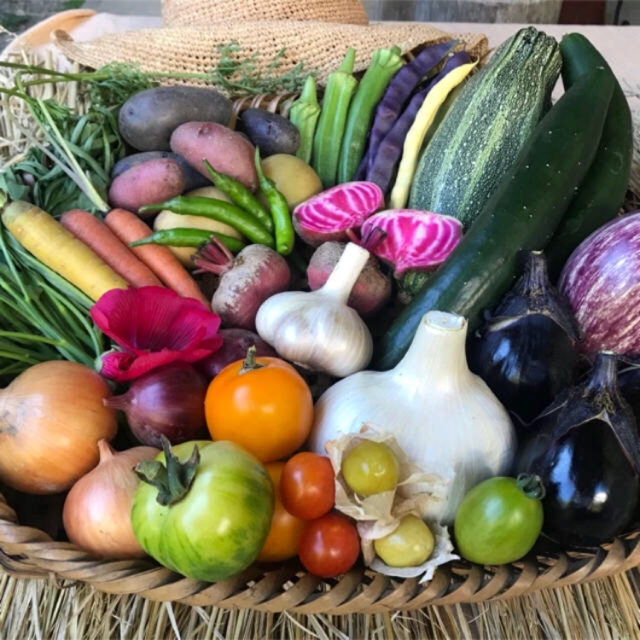 京都府産  無農薬 詰め合わせ オーガニック 60サイズ 秋冬野菜セット 贈り物 食品/飲料/酒の食品(野菜)の商品写真