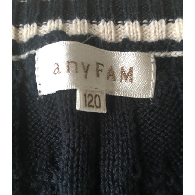 anyFAM(エニィファム)のニットのベスト 120 キッズ/ベビー/マタニティのキッズ服男の子用(90cm~)(ニット)の商品写真