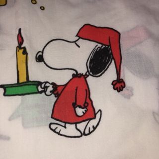 スヌーピー(SNOOPY)のmmm様　専用(生地/糸)