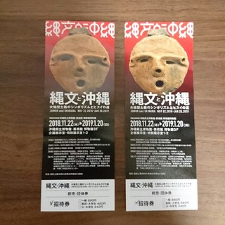 沖縄博物館 チケット(美術館/博物館)