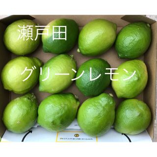 国産レモン  コンパクト箱 12個 約1.4キロ(フルーツ)