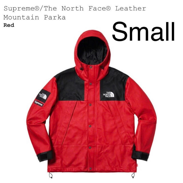 Supreme(シュプリーム)のRYO様専用Supreme NorthFace Leather Mountain メンズのジャケット/アウター(マウンテンパーカー)の商品写真