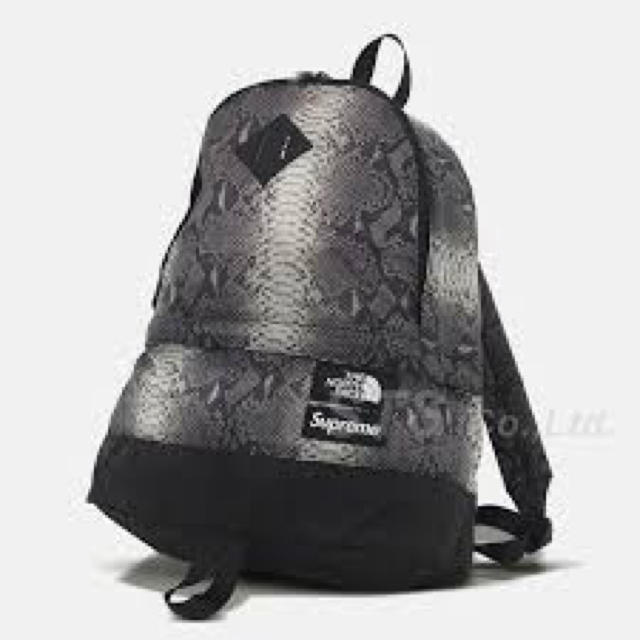 Supreme north face snakeskin day pack