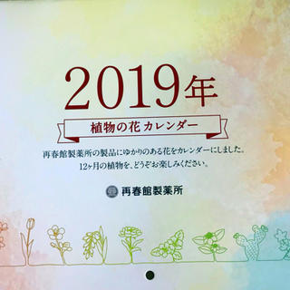 ドモホルンリンクル(ドモホルンリンクル)のカレンダー 壁掛け 2019 再春館製薬所(カレンダー/スケジュール)