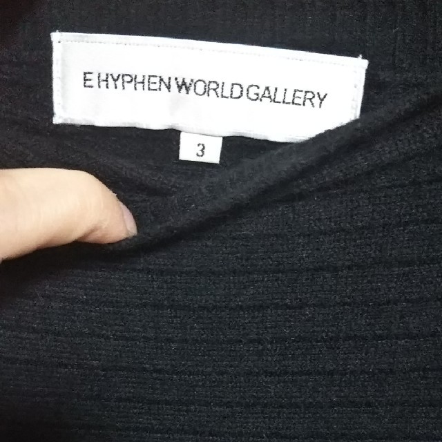 E hyphen world gallery(イーハイフンワールドギャラリー)のイーハイフンワールドギャラリー ニット レディースのトップス(ニット/セーター)の商品写真