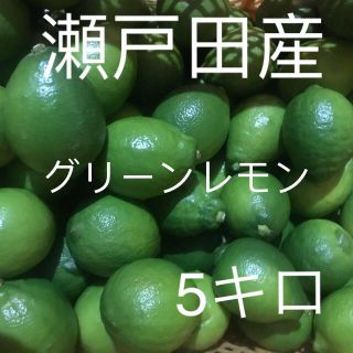 国産レモン  家庭用 5キロ(フルーツ)