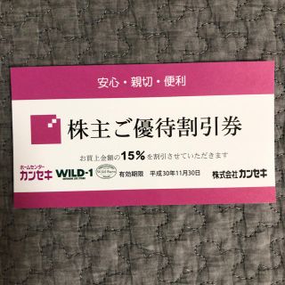 コールマン(Coleman)のカンセキ ワイルドワン 優待券(その他)