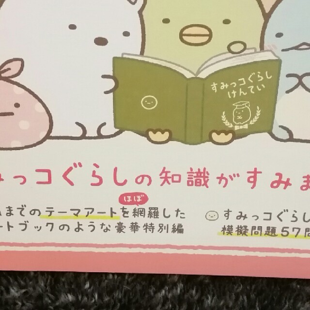 主婦と生活社(シュフトセイカツシャ)のyrnmk5様専用　すみっコぐらし　大図鑑　美品 エンタメ/ホビーのエンタメ その他(その他)の商品写真