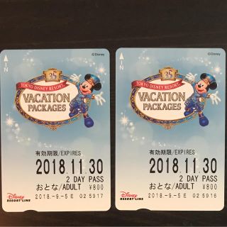 ディズニー(Disney)のディズニーリゾートライン 2DAY PASS 大人2枚(遊園地/テーマパーク)