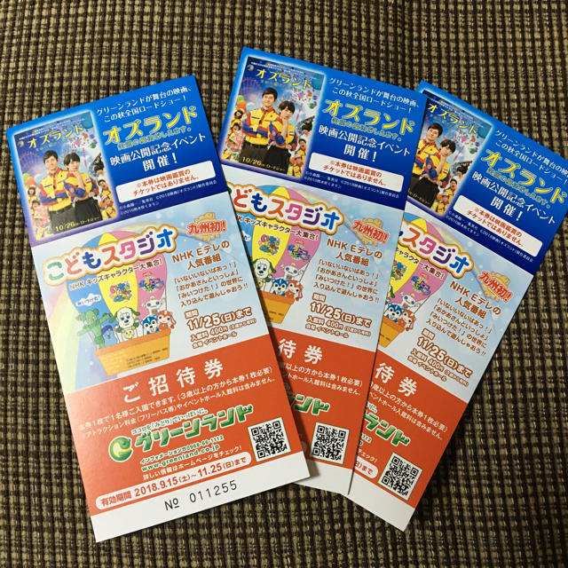 熊本グリーンランド 入場券 チケットの施設利用券(遊園地/テーマパーク)の商品写真
