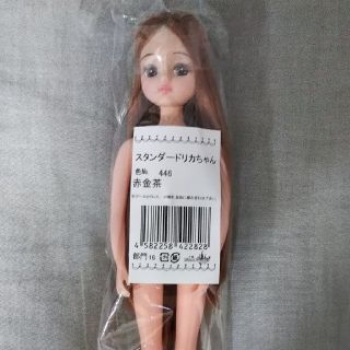 リカちゃん お人形教室 キャッスル(人形)
