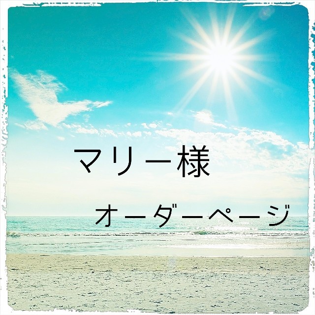 SALE/66%OFF】 マリー様オーダー品 eurocursions.com