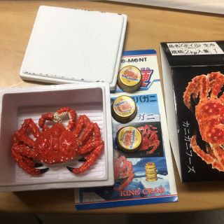 リーメント ぷちサンプル(その他)