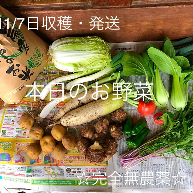 完全無農薬 お野菜詰め合わせ 【復活版】 数量限定 80-100サイズ 食品/飲料/酒の食品(野菜)の商品写真