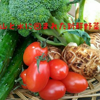 ✨新鮮野菜7種類と旬の果物1種類（おまけつき）詰め合わせセット✨(野菜)