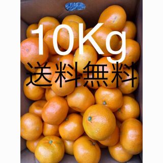 和歌山県 傷あり訳ありみかん約10kg(フルーツ)