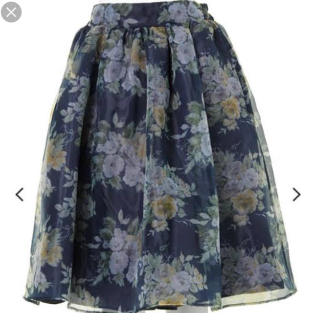 dazzlin(ダズリン)のdazzlin🌼ブーケ 花柄 オーガンジー スカート レディースのスカート(ひざ丈スカート)の商品写真
