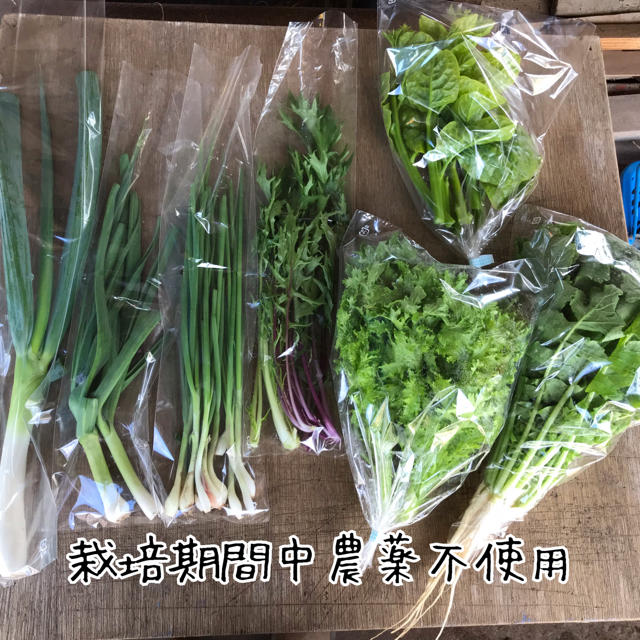 【栽培期間中農薬不使用】渥美半島から直送!旬彩野菜バスケット 食品/飲料/酒の食品(野菜)の商品写真
