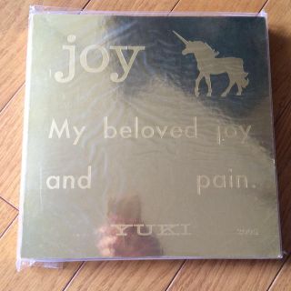 YUKI ツアーグッズ JOY(その他)