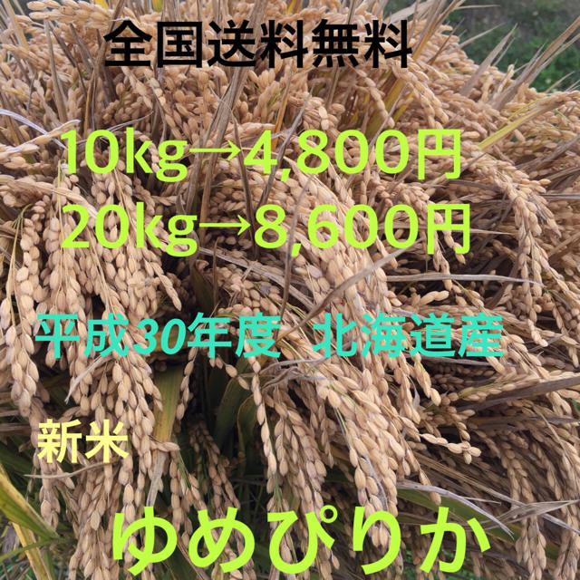 新米ゆめぴりか20キロ・1等米・ブランド米・白米　平成30年度産　北海道米　米/穀物