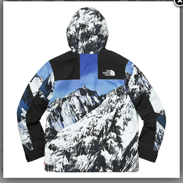 Supreme(シュプリーム)のSupreme North Face Mountain Parka 雪山 M メンズのジャケット/アウター(マウンテンパーカー)の商品写真
