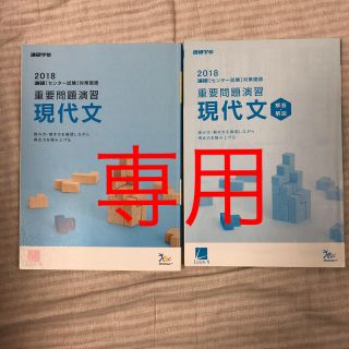 2018 進研〔センター試験〕対策国語 重要問題演習 現代文(語学/参考書)