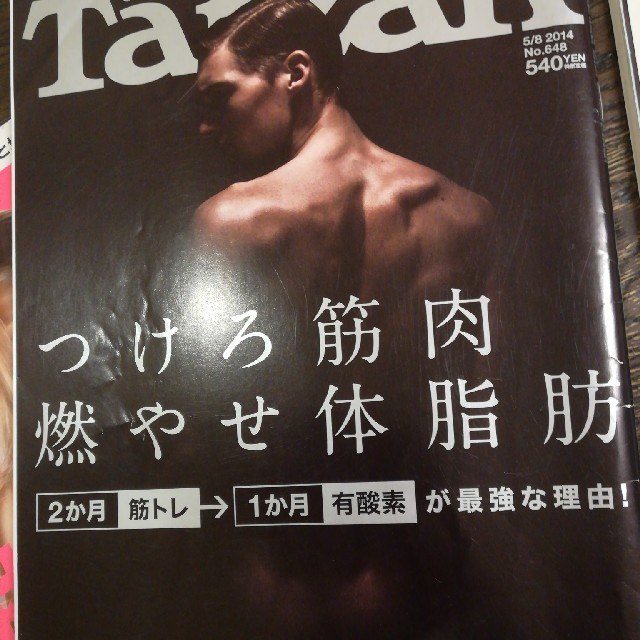 マガジンハウス(マガジンハウス)のTARZAN  バックナンバー3セット エンタメ/ホビーの雑誌(趣味/スポーツ)の商品写真