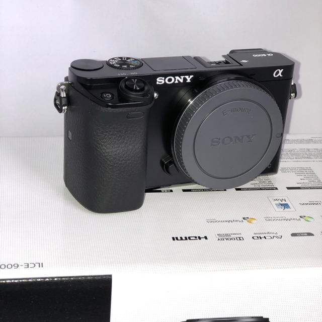 α6000 ボディsonyソニー お気に入りの 51.0%OFF www.gold-and-wood.com