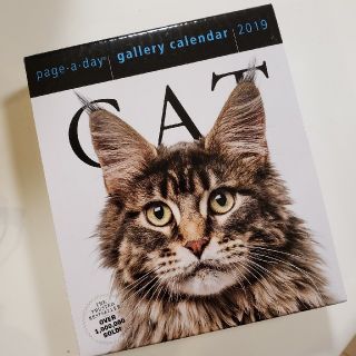 日めくりカレンダー　2019 猫　page a day CAT(カレンダー/スケジュール)