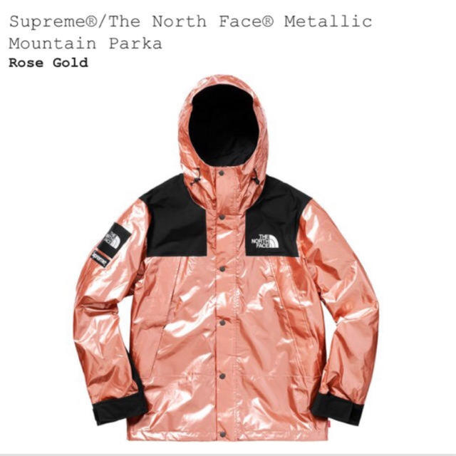 Supreme(シュプリーム)のSupreme North Face Metallic Mountain P M メンズのジャケット/アウター(マウンテンパーカー)の商品写真