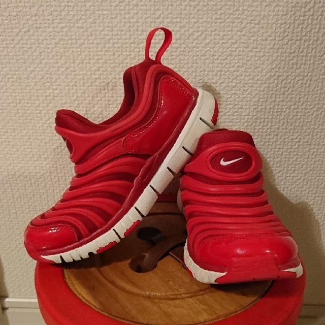 NIKE(ナイキ)のNIKE ダイナモフリー 20センチ キッズ/ベビー/マタニティのキッズ靴/シューズ(15cm~)(スニーカー)の商品写真