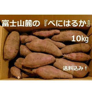 べにはるか10kg 富士山麓の採れたてさつま芋(野菜)