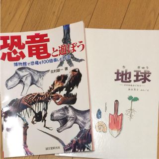 恐竜 地球 美品(絵本/児童書)