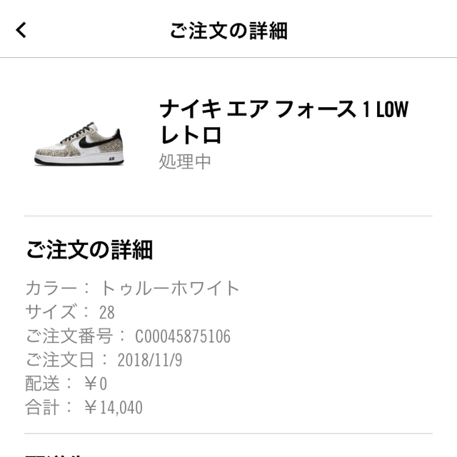 NIKE(ナイキ)のNIKE  エアフォースワン  ココアスネーク メンズの靴/シューズ(スニーカー)の商品写真