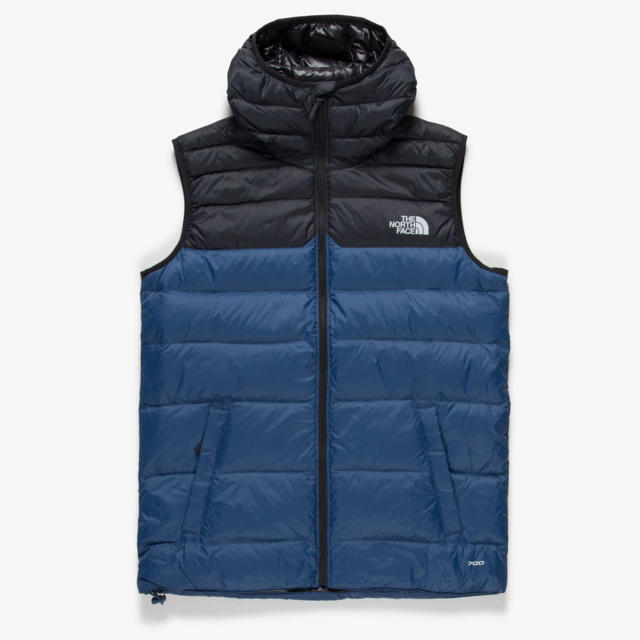 【新品】NORTH FACE WEST PEAK ダウンベスト 700 L