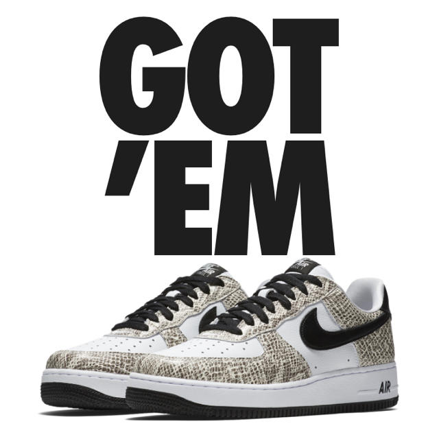Nike Air Force cocoa snake 27.0cm - スニーカー