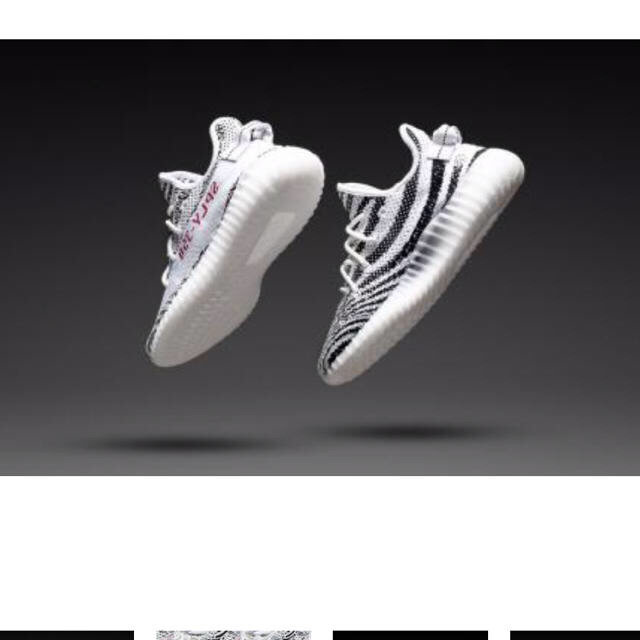 adidas Yeezy 350 27.5靴/シューズ